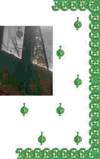 C Pallu Saree Design