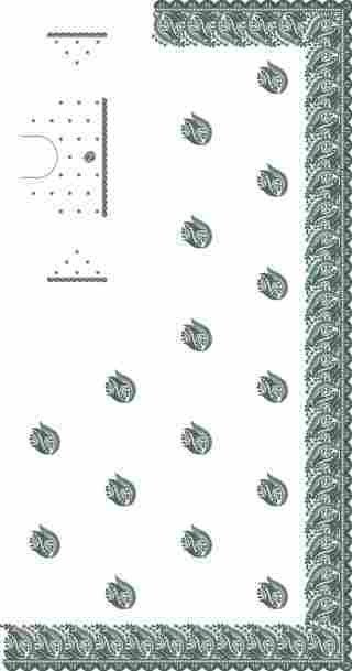 C Pallu Saree Design