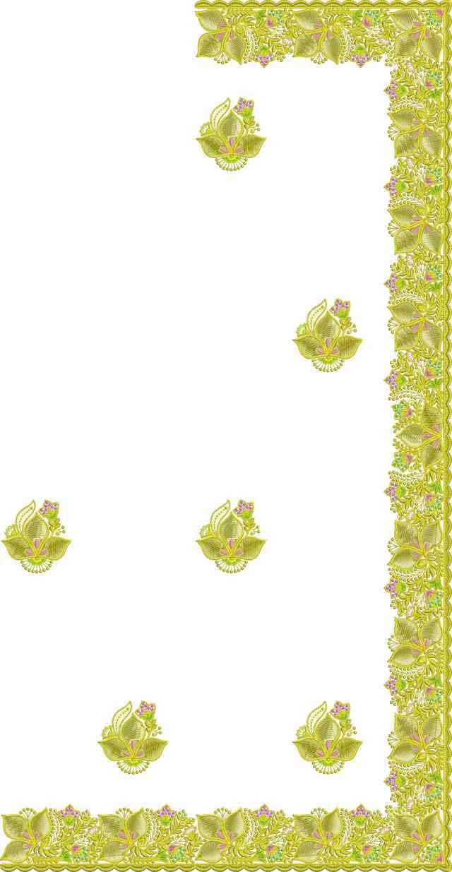 C Pallu Saree Design