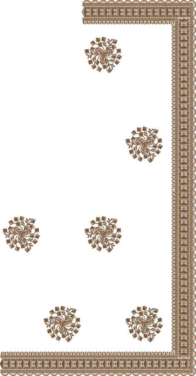 C Pallu Saree Design