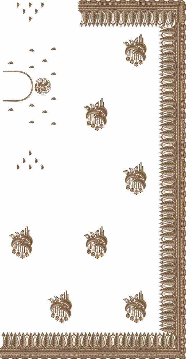 C Pallu Saree Design