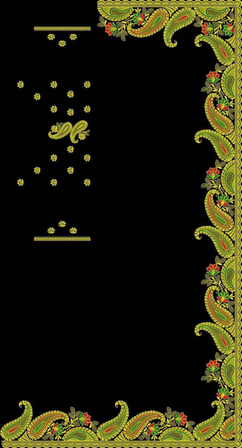 C Pallu Saree Design