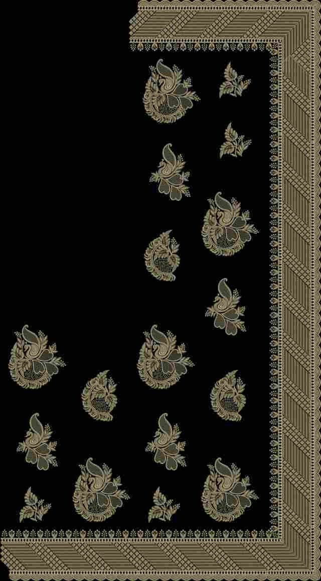 C Pallu Saree Design