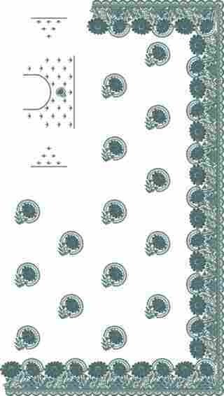 C Pallu Saree Design
