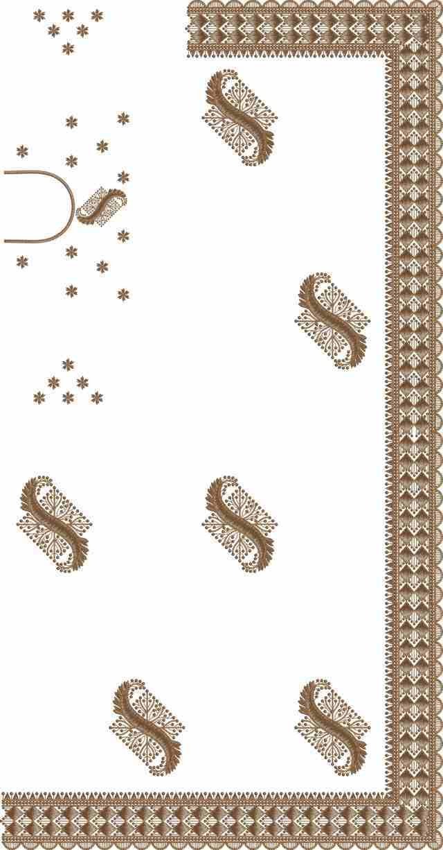 C Pallu Saree Design