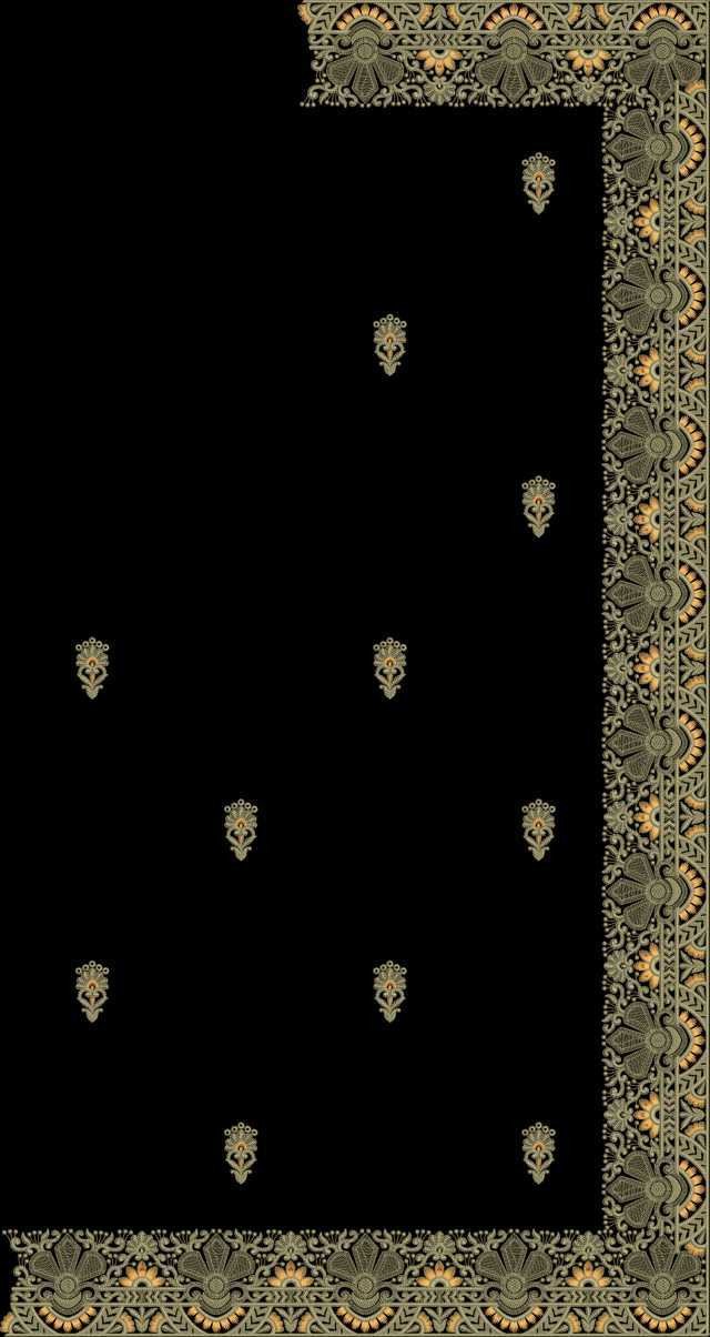 C Pallu Saree Design