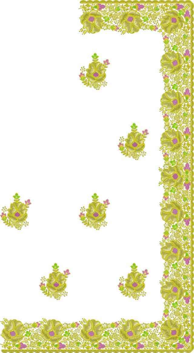 C Pallu Saree Design
