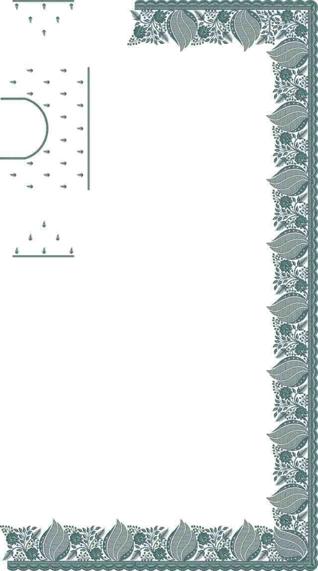 C Pallu Saree Design