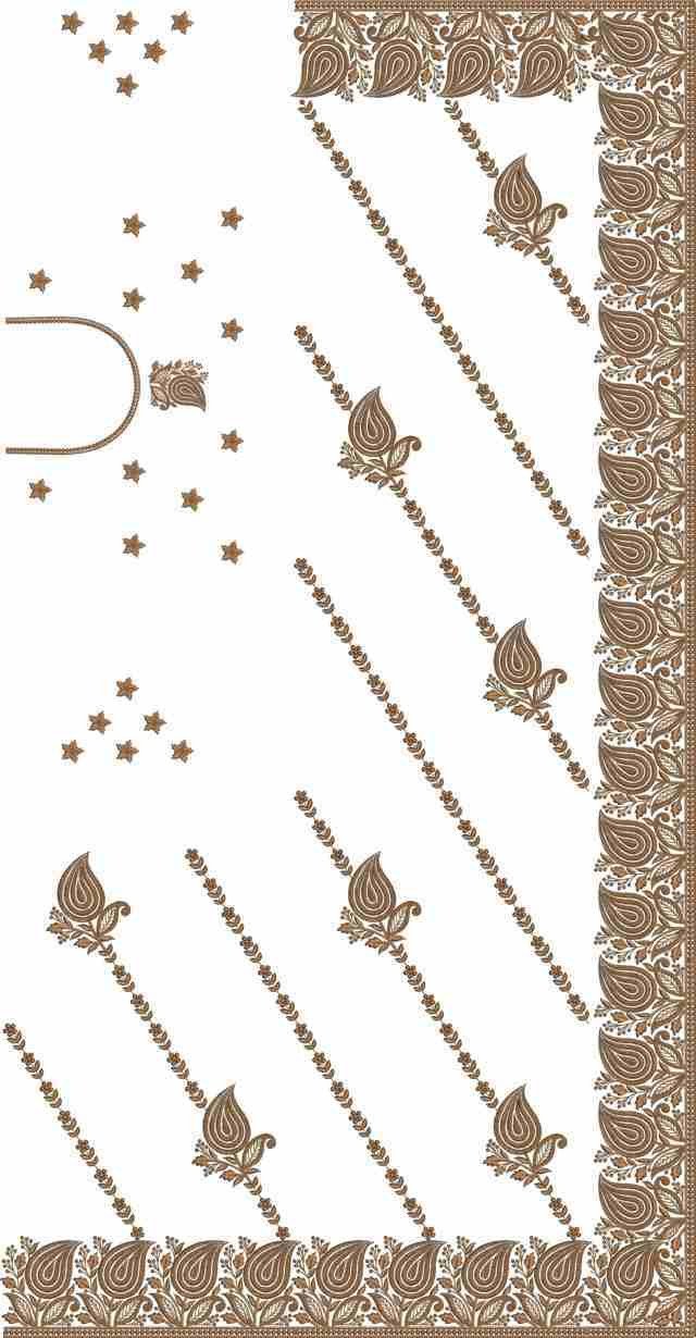 C Pallu Saree Design