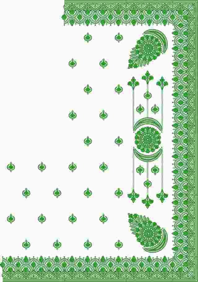 C Pallu Saree Design