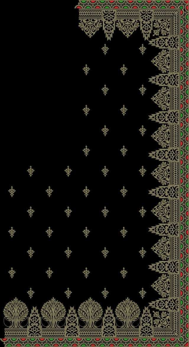 C Pallu Saree Design