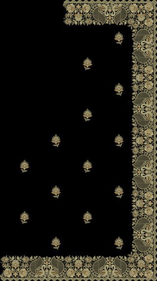 C Pallu Saree Design