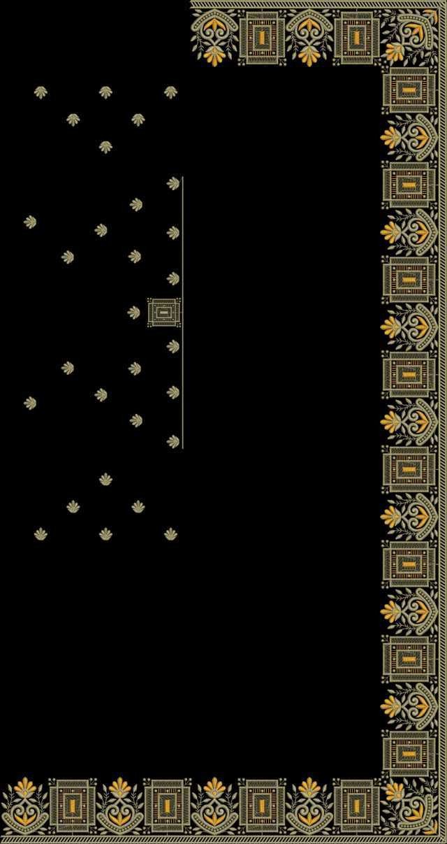 C Pallu Saree Design