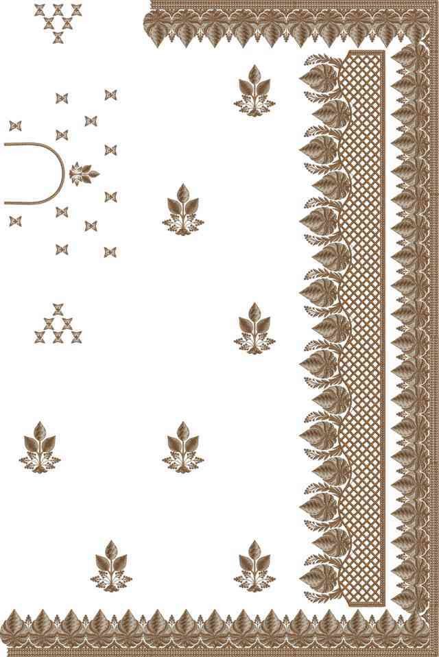 C Pallu Saree Design